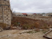 Satılır 5 sot torpaq Hökməli