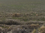 Satılır 500 sot torpaq Xaçmaz