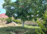 Satılır 4 sot torpaq Bakıxanov