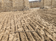 Satılır 12 sot torpaq Ləhic Bağları