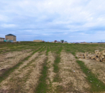 Satılır 12 sot torpaq Ceyranbatan