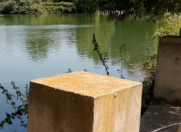 Satılır 300 sot torpaq Xudat