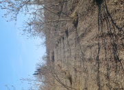 Satılır 25 sot torpaq Xaçmaz