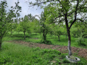 Satılır 90 sot torpaq Quba