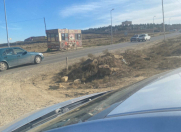 Satılır 2 sot torpaq Saray