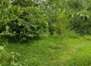 Satılır 3 otaqlı 24 m2 həyət evi Qusar