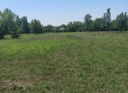 Satılır 12 sot torpaq Qəbələ