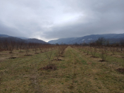 Satılır 205 sot torpaq Quba