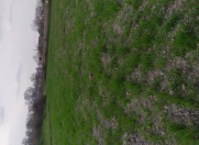 Satılır 120 sot torpaq Xaçmaz