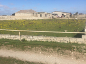 Satılır 12 sot torpaq Xaşaxuna