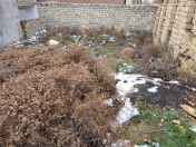 Satılır 3 sot torpaq Badamdar