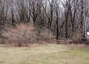 Satılır 8 sot torpaq Qəbələ