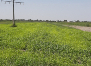 Satılır 210 sot torpaq Ağdaş