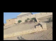 Satılır 3 sot torpaq Qobustan