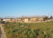 Satılır 500 sot torpaq Binə