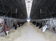 Satılır 4 otaqlı 40000 m2 obyekt Fatmayı