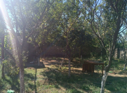 Satılır 3 otaqlı 118 m2 həyət evi Şabran