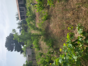 Satılır 12 sot torpaq Novxanı