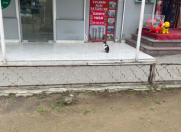 İcarəyə verilir 1 otaqlı 8 m2 ofis 8 km