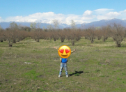 Satılır 75 sot torpaq Zaqatala