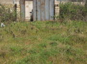 Satılır 12 sot torpaq Novxanı