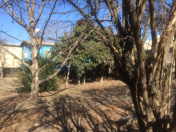 Satılır 3 otaqlı 46 m2 həyət evi Şəmkir