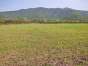 Satılır 21 sot torpaq Zaqatala