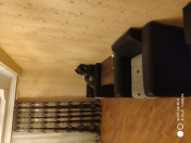 İcarəyə verilir 3 otaqlı 130 m2 yeni tikili 9 mkr