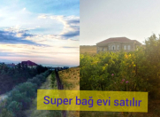 Satılır 8 otaqlı 450 m2 bağ evi Novxanı