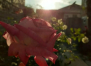 İcarəyə verilir 3 otaqlı 150 m2 həyət evi Qax