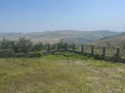 Satılır 24 sot torpaq Şamaxı