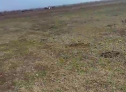 Satılır 14200 sot torpaq Qusar