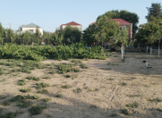 Satılır 10 sot torpaq Sumqayıt