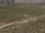 Satılır 10 sot torpaq Albalı