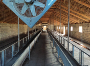 Satılır 3 otaqlı 36 m2 obyekt Ağcabədi