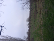 Satılır 1 sot torpaq Xaçmaz