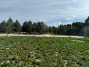 Satılır 30 sot torpaq Şüvəlan