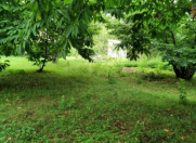 Satılır 4.7 sot torpaq Qəbələ