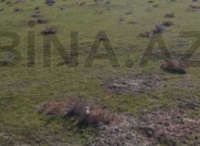 Satılır 20 sot torpaq Türkan