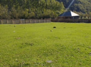 Satılır 12 sot torpaq Oğuz