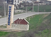 Satılır 63 sot torpaq Şamaxı