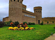 Satılır 36 sot torpaq Şamaxı