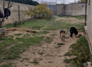 Satılır 7 sot torpaq Mərdəkan