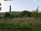 Satılır 5 otaqlı 180 m2 həyət evi İsmayıllı