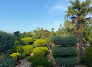 Satılır 8 sot torpaq Elmlər Akademiyası m.