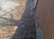 Satılır 8 sot torpaq Qəbələ