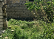 Satılır 5 sot torpaq Qəbələ
