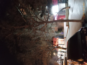 İcarəyə verilir 2 otaqlı 39 m2 obyekt İran İslam Respublikası səfirliyi