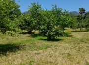 Satılır 20 sot torpaq İsmayıllı