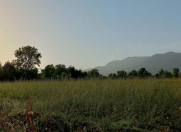 Satılır 21 sot torpaq İsmayıllı